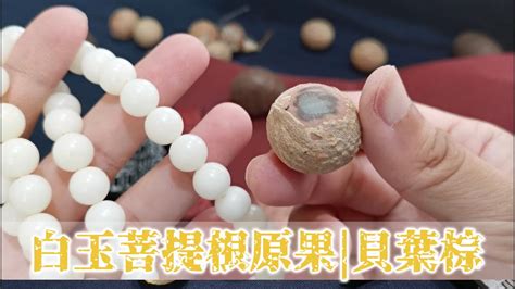 白玉菩提變色|文玩知識 